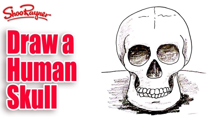 How to draw a Human Skull