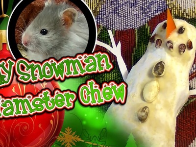 DIY Snowman Hamster Chew Toy (read desc.)
