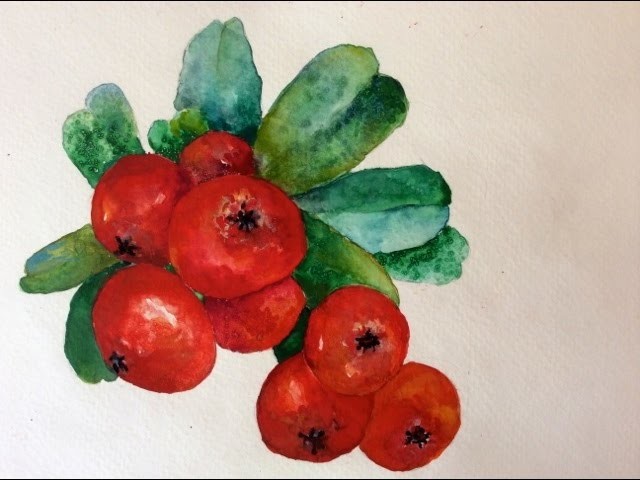 Tutorial how to paint Christmas Holly Berries with watercolor for beginners, fast and easy