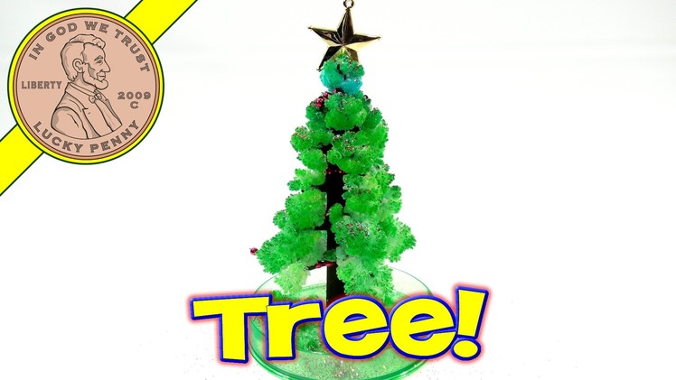 Amazing Christmas Tree, Toysmith. .Grows In One Day!​​​ | Kids Meal Toys | LuckyPennyShop.com​​​