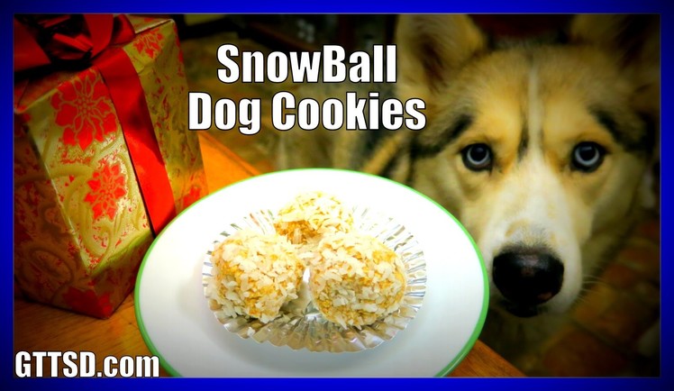 DIY SNOWBALL DOG COOKIES | Snow Dogs Snacks 40 | No Bake Dog Treats for Christmas