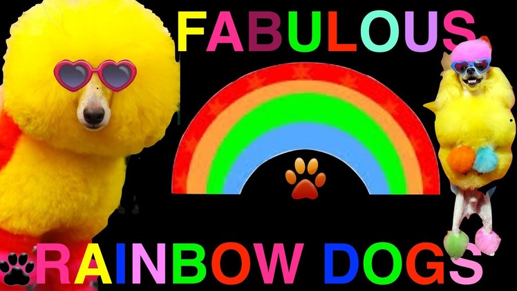 50 FABULOUS RAINBOW DOGS-Amazing Spectacular Colors- a presentation by Cooking For Dogs