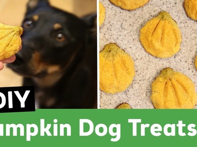 DIY Pumpkin Dog Treats | All Natural Grain Free Recipe