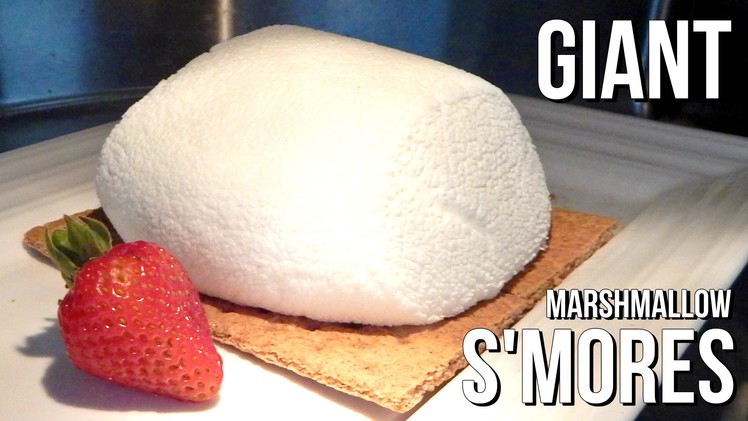 GIANT MARSHMALLOW S'MORES in a Microwave  - Father's Day Special - DIY, homemade - Inspire To Cook
