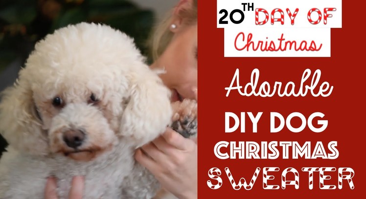 ADORABLE DIY Dog Christmas Sweater | 20th Day of Christmas 2015!
