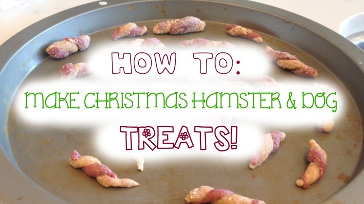 DIY Christmas Hamster & Dog Treats!