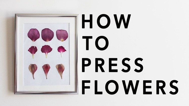 How to Press Flowers + DIY Mother's Day Gift