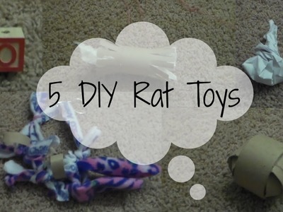 5 DIY Rat Toys