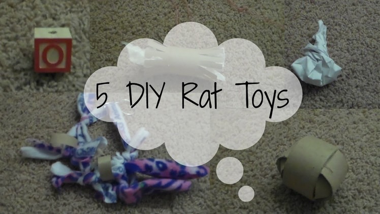 5 DIY Rat Toys