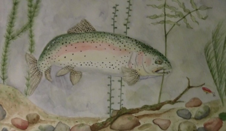 Speed painting rainbow trout