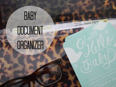 DIY Baby Document Organizer