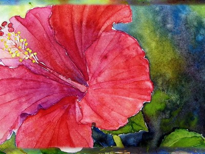 How To Paint the Red Hibiscus Flower  In Watercolor By Ross Barbera