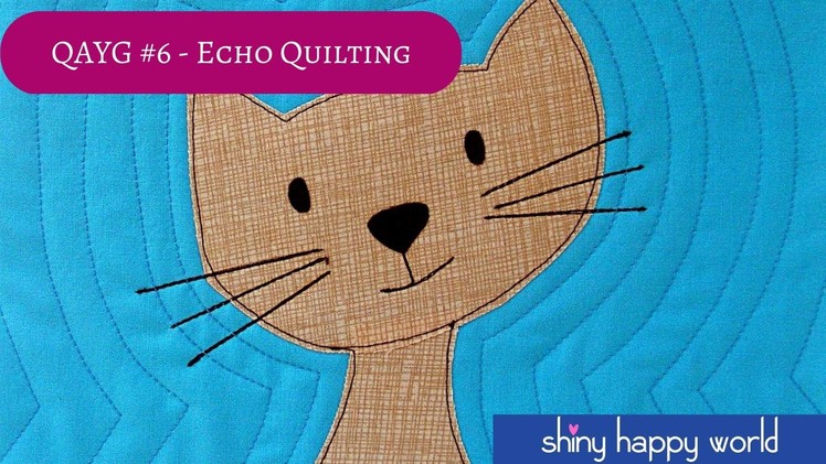 Quilt As You Go #6 - Echo Quilting