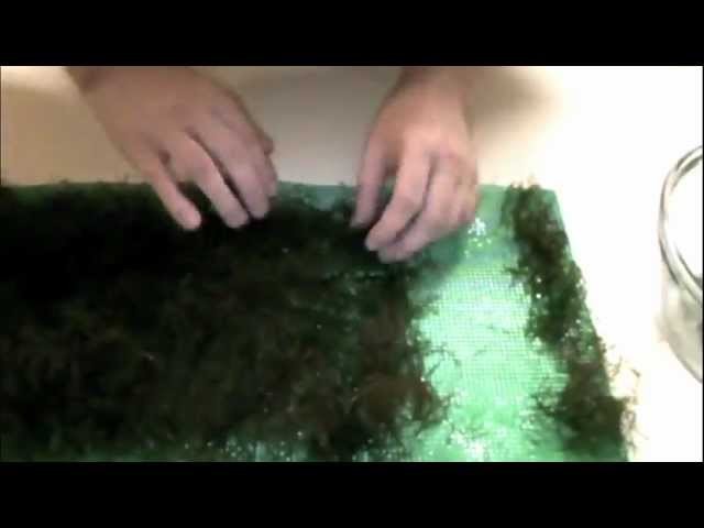 Step by Step Create a Java Moss Wall