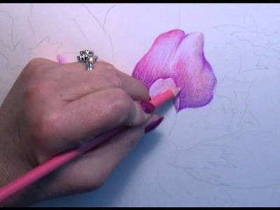 Colored Pencil Instruction with Paula Leopold