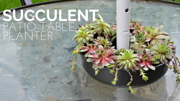 How to Make a Succulent Patio Table Planter