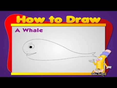 Learn to Draw Animals - Whale