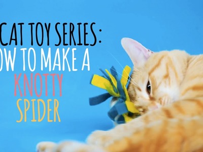 DIY Cat Toys - How to Make a Knotty Spider