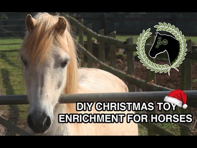 DIY christmas enrichment.toy for horses