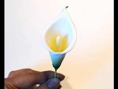 Cake decorating - how to make a gumpaste calla lily
