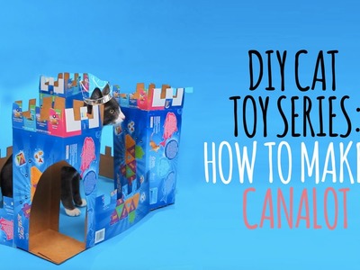 DIY Cat Toys - How to Make a Canalot