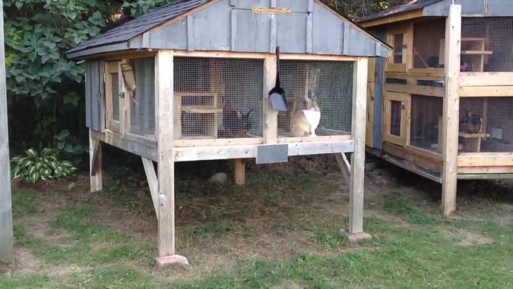 How to Build a Rabbit Hutch update