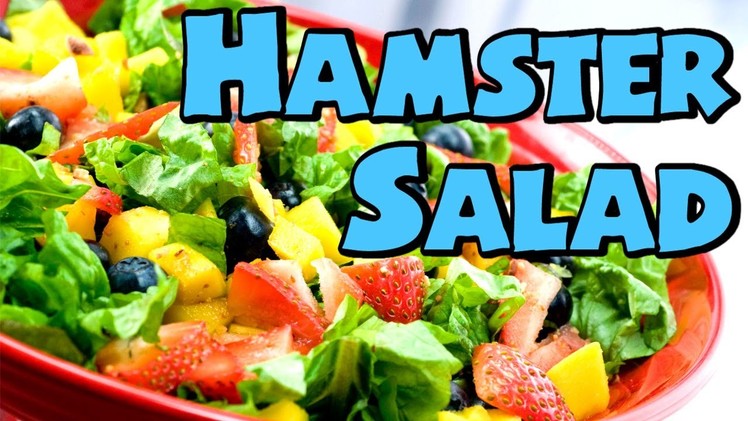 HOW TO: HAMSTER SALAD ~ Suitable for all Hamsters *HD*