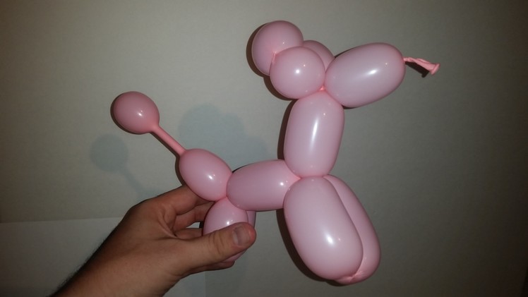 How to make a Balloon puppy dog!! DIY your own balloon dog.