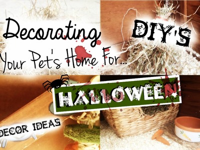 Decorating Your Pet's Home For Halloween: DIY'S & DECOR IDEAS! | RosieBunneh
