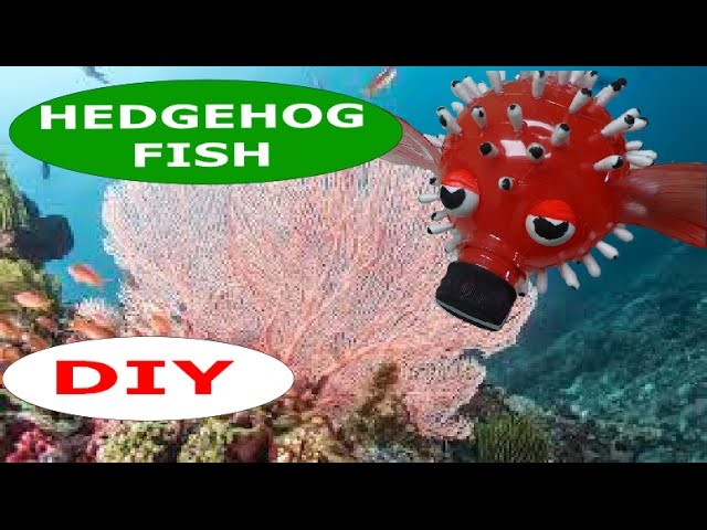 DIY Crafts: How to Make a Hedgehog Fish out of Plastic Bottles
