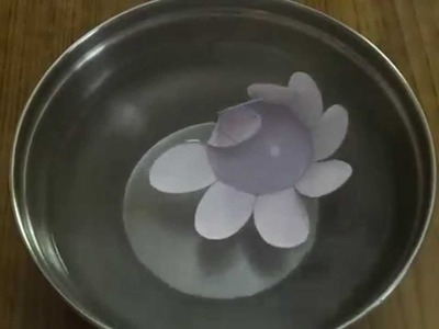 How to Make A Magic Blooming Paper Flower