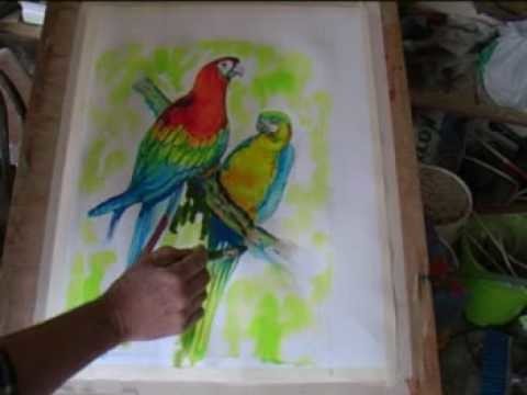 Painting Macaws using Acrylic Inks.
