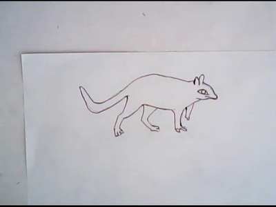 How to draw a numbat (simple drawing)