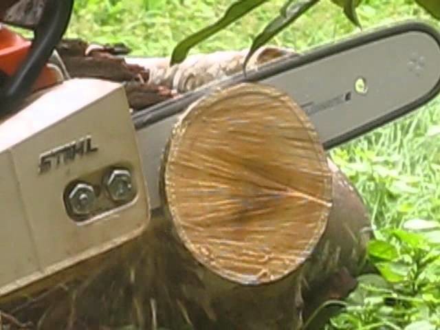 Stihl MS 180 Cutting Indian Jack wood using Stihl PM3 and the newer Stihl PS3 Saw chains