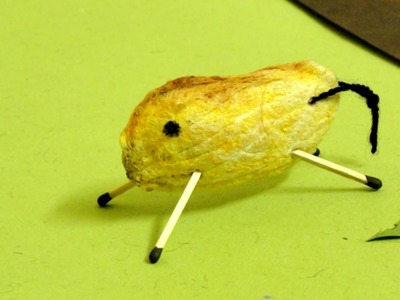 Make a Mango Pit Animal - DIY Crafts - Guidecentral