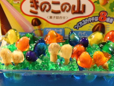Meiji Kinoko no Yama making kit reuse"Gummy Chocorooms"