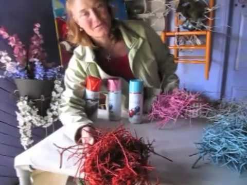 More Bird Nests!