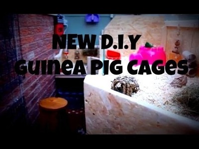 Homemade Guinea Pig Cages *D.I.Y - 2014*