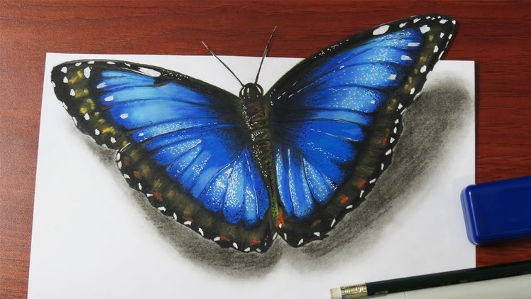 How to Draw a Realistic Butterfly