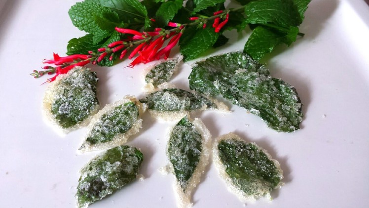 How to Make Candied Mint Leaves! Easy & Fun to do with Kids!