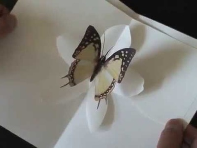 Butterfly Kisses - Kirigami Pop-up Cards