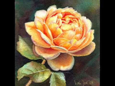 My Roses - Romantic Rose Paintings in Oil and Watercolor by Doris Joa