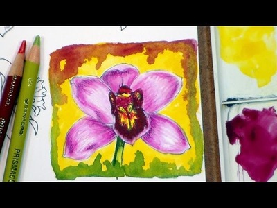 How to color an orchid flower in colored pencils and watercolor