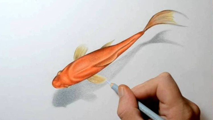 How to Draw a Goldfish - 3D Art Drawing