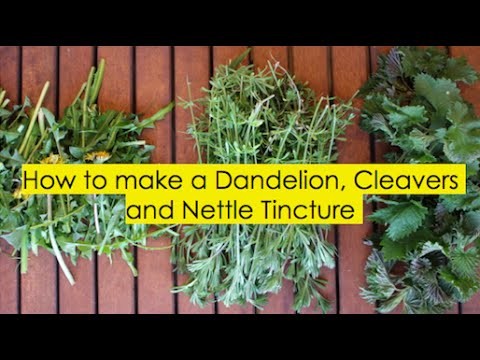 How to make a Herbal Tincture with Dandelion, Cleavers and Nettle Part 1