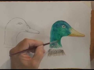 How To Use Watercolor Pencils -Part 2