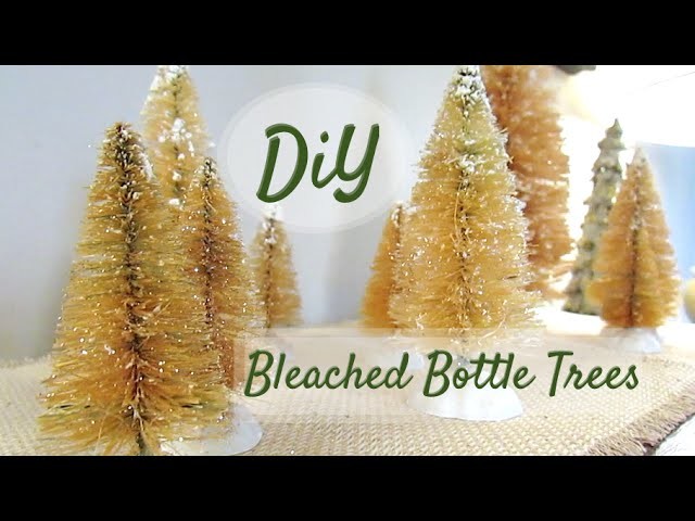DIY BLEACHED BOTTLE BRUSH TREES | Quick + Easy!
