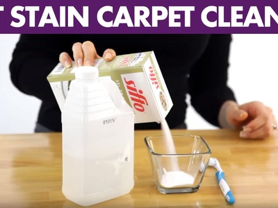 Pet Stain Carpet Cleaner - Day 3 - 31 Days of DIY Cleaners (Clean My Space)