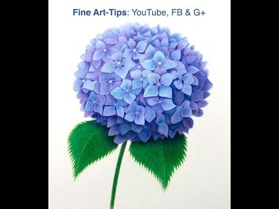 How to Draw a Hydrangea With Color Pencils - How to Draw a Purple Flower