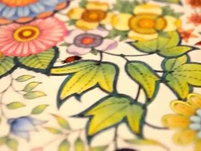 Secret Garden Coloring Book | My leaves and flowers | Jardim Secreto